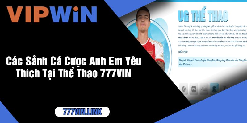 Các Sảnh Cá Cược Anh Em Yêu Thích Tại Thể Thao 777VIN