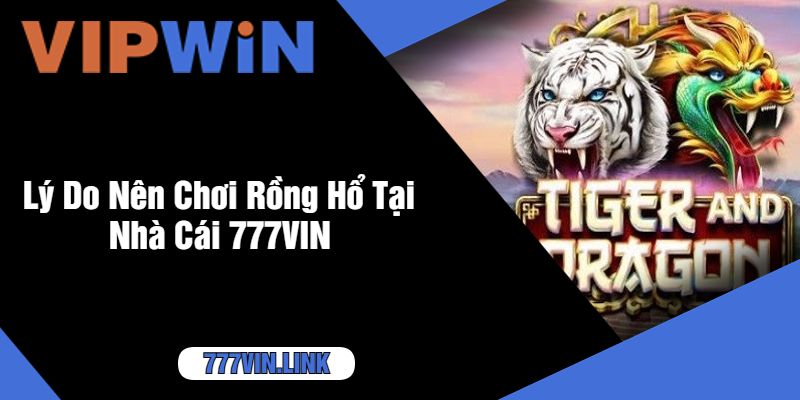 Lý Do Nên Chơi Rồng Hổ Tại Nhà Cái 777VIN